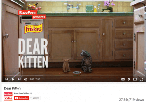 Dear kitten viral video