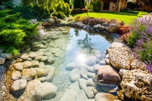 Beautiful pond in a landscaped garden with the sun shining. Marketing for the landscaping industry required good photos from clients like this one. 