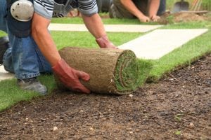 A man rolling out some turf for his landscaping company