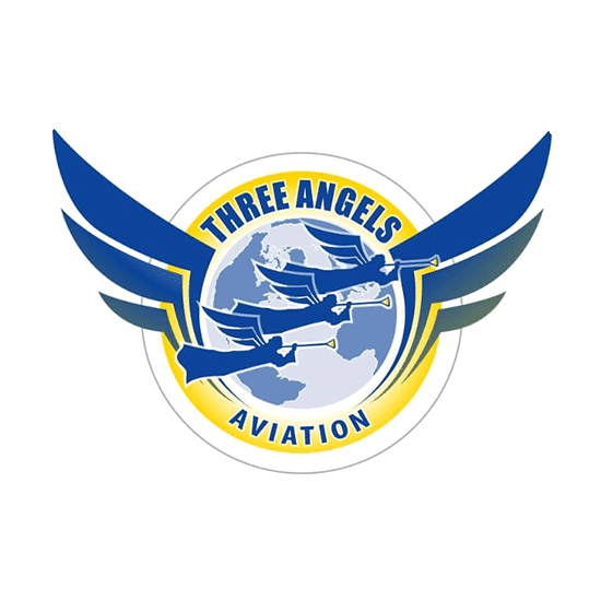 Aviation Logo Design Airline Logos by The Logo Company