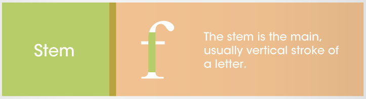 Typography and font deconstruction of Stem. f. The stem is the main usually vertical stroke of a letter