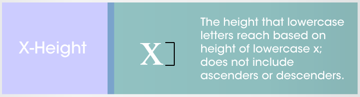 X-Height X The height that lowercase letters reach based on height of lowercase x; does not include ascenders or descenders in typography