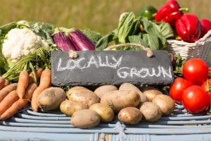 Locally grown vegetables on a sign, laying on top of potatoes, tomatoes and carrots. Your locally grown produce an be sold at all sort of farmer's markets