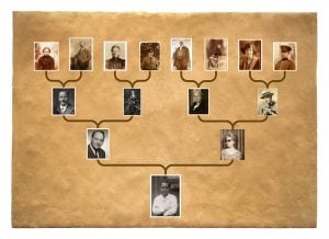 Family tree. Everybody loves to know about their ancestors. 