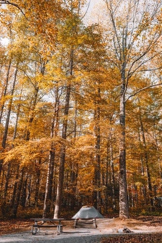 A campground in the autumn. To market a campground in the autumn will require dedication. 