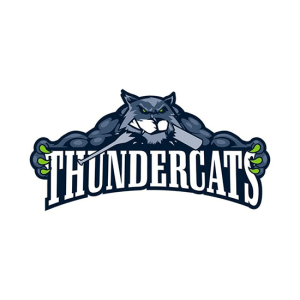 Thundercats. This sports team has picked a wonderful character to represent their spirit