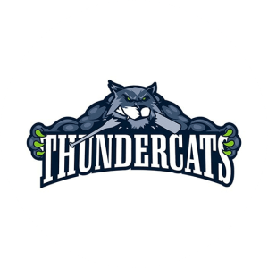 Thundercats. This sports team has picked a wonderful character to represent their spirit. A cat holding a banner with the words Thundercats