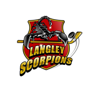 One of my favourite character logo designs. Langley Scorpions. This team logo is memorable