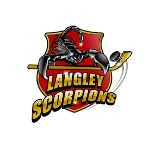 One of my favourite character logo designs. Langley Scorpions. This team logo is memorable