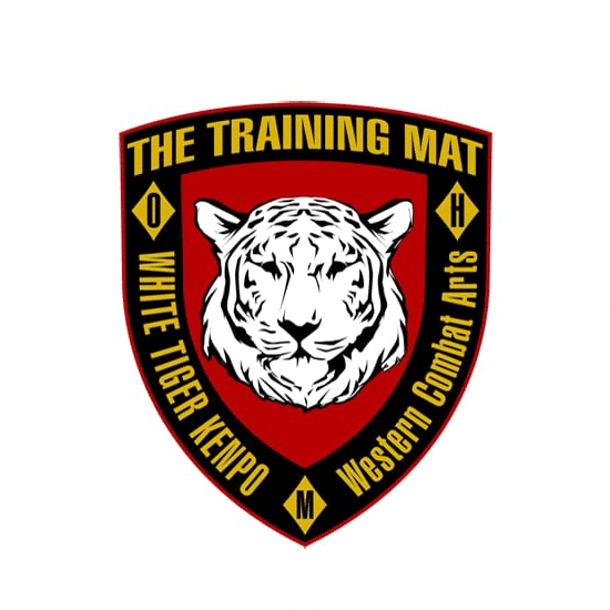 Martial Arts School Logo | Martial Arts Logo Design Case Study