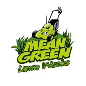 Mean Green landscaping logo design. A mad green lawnmower ready to cut oversized grass. Character logo with humor.