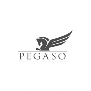 Pegaso corporate logo design in the shape of a horse with wings. All grey but beautiful.