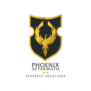 Phoenix Aftermath is a powerful graphic phoenix in gold and the shield is black. Beautiful contrasts