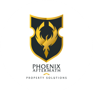 Phoenix Aftermath is a powerful graphic phoenix in gold and the shield is black. Beautiful contrasts