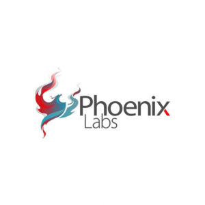 High-tech logo design for Phoenix Labs. A powerful image with a good name
