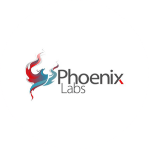High-tech logo design for Phoenix Labs. A powerful image with a good name