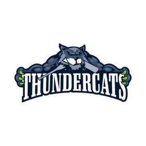 Gorgeous Thundercats sport logo design. Illustration where the paws are holding the letters.