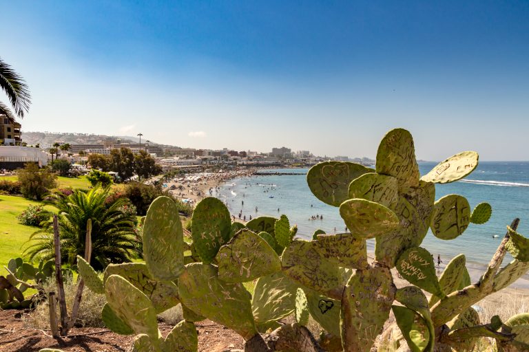 Logo design for the soul. Beautiful inspiration on the beach in Tenerife. A cactus has been engraved with love messages.