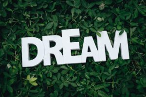 The word DREAM is in big fat font stuck on top of a green hedge. Dream big to own your time on earth