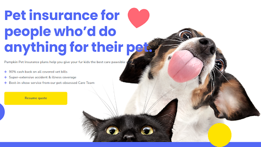 Pet insurance banner with a dog showing its tonge and a crazy black cat to attract attention for content marketing.