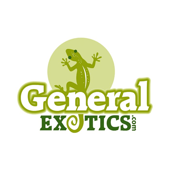 Green and white color combination for general Exotics gecko logo