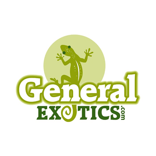 Green and white color combination for general Exotics gecko logo