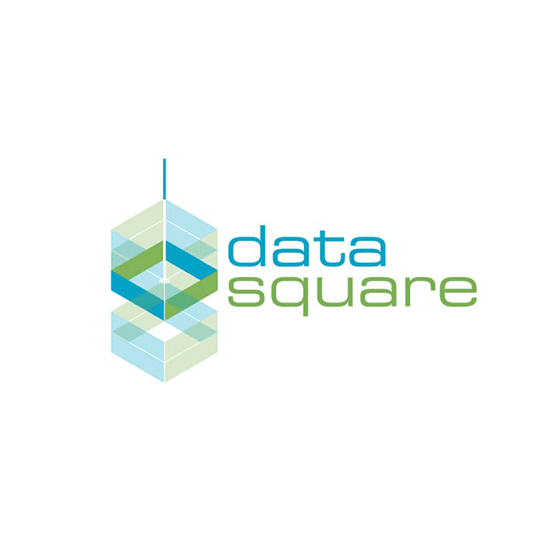 Data square had a diamond shaped logo created by us in blue and green.