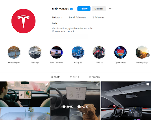 Tesla instagram's profile login the shape of a red icon