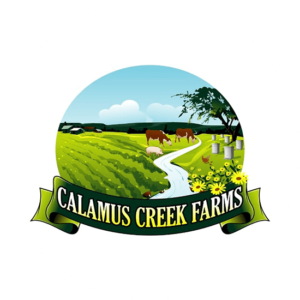 A farm graphic with two cows in a green field. Feminine and warm feeling