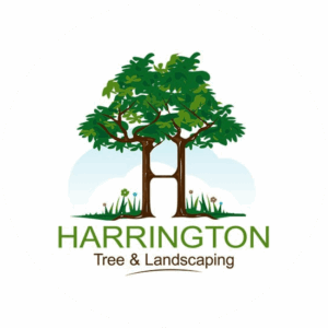 Harrington Tree & Landscaping balanced logo with two intertwined trees.