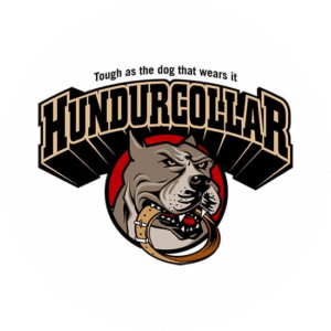 Hundcollar products impact logo design in the shape of a powerful dog holding its own collar