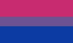 Bisexual pride logo flag in blue and pink