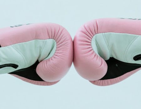 2 pink boxing gloves fist bumping like they are about to box. Feminine logos are strong.