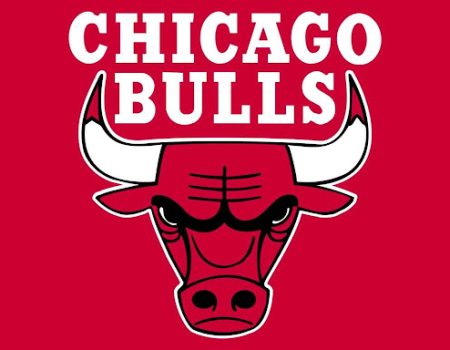 Chicago Bulls logo. The very memorable red bull, looking very aggressive.