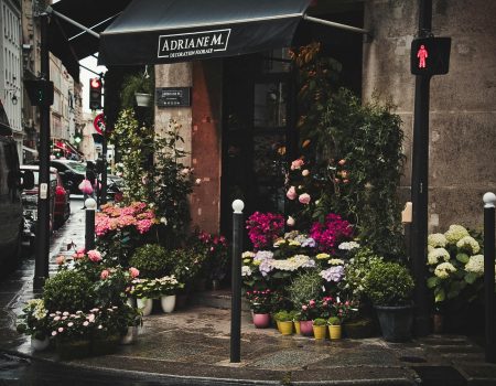 Pink and White Flowers standing outside a flower shop logo design.