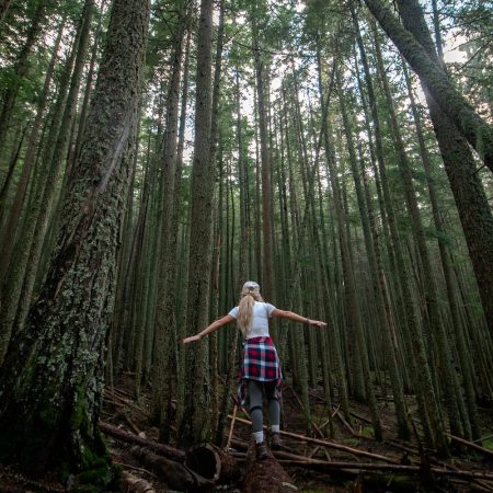 A woman with long hair balancing on a tree trunk in the forest