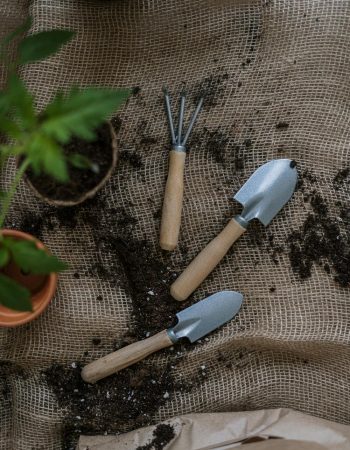 Top View Photo of Gardening Tools