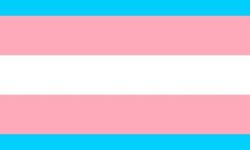 Transgender flag in pink, blue and white