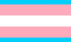 Transgender flag in pink, blue and white